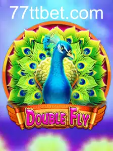 Explore o Universo Empolgante de DoubleFly: Inovações e Regras do Jogo